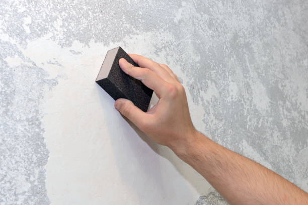 Best Air Quality Testing for Mold Spores  in Waikapu, HI