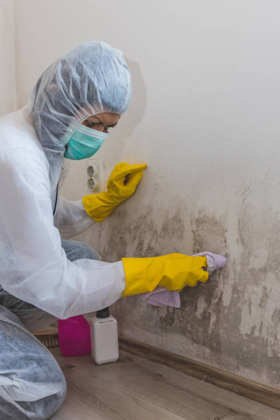 Best Indoor Air Quality Assessment  in Waikapu, HI