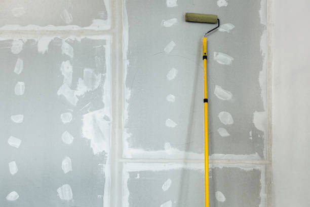 Best Forensic Mold Investigation  in Waikapu, HI
