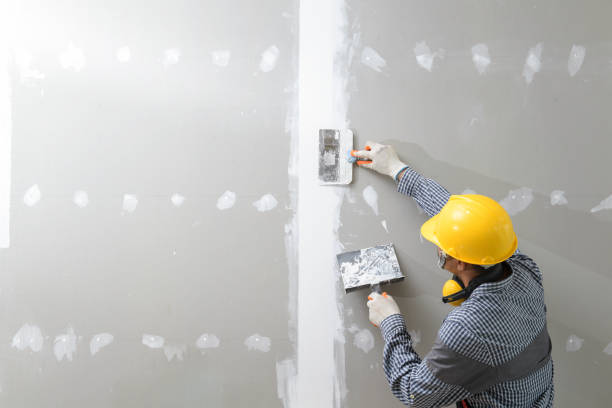 Best Mold Removal for HVAC Installations  in Waikapu, HI