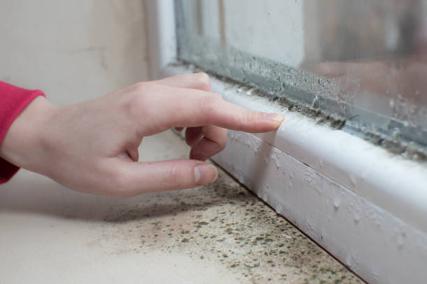 Best Airborne Mold Testing  in Waikapu, HI