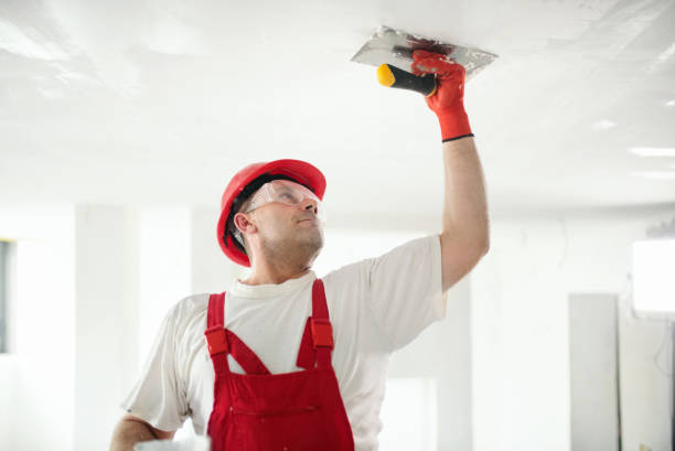 Best Crawl Space Mold Remediation  in Waikapu, HI