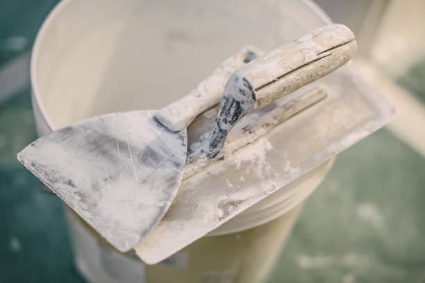 Best Mold Prevention Services  in Waikapu, HI
